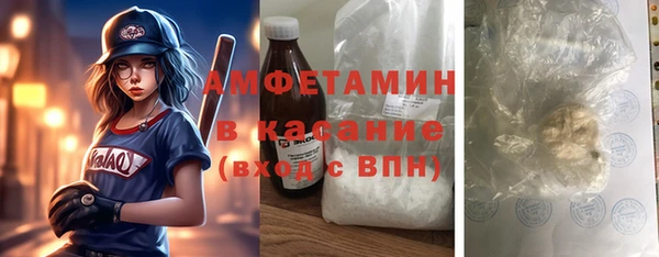 прущие грибы Абаза