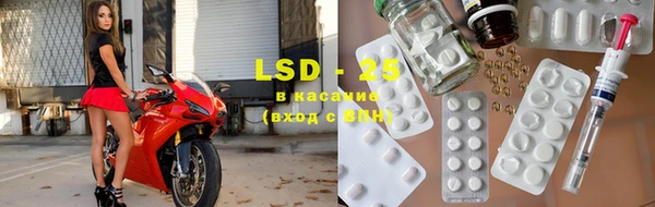прущие грибы Абаза