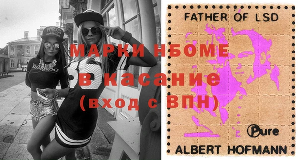 прущие грибы Абаза