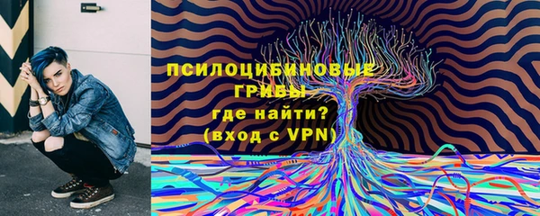 PSILOCYBIN Абдулино