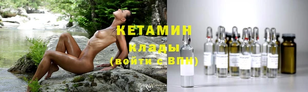 прущие грибы Абаза