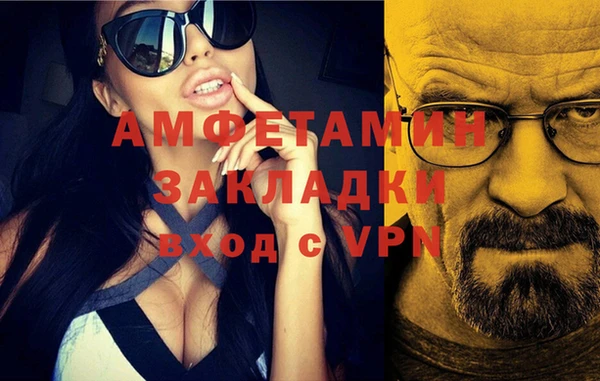 прущие грибы Абаза