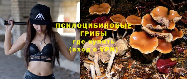 mix Абинск