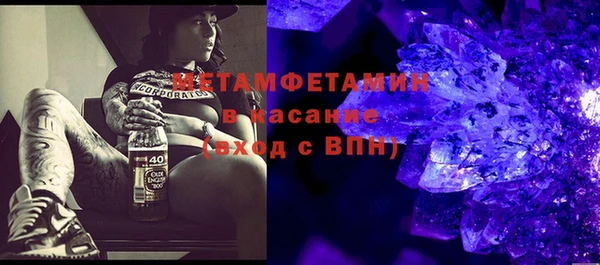 прущие грибы Абаза