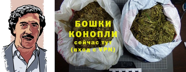 прущие грибы Абаза