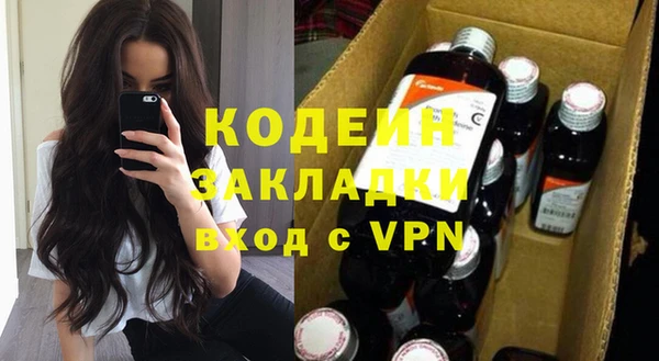 прущие грибы Абаза