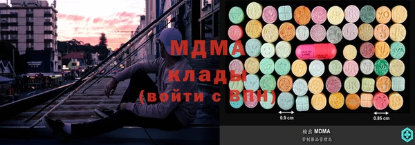 прущие грибы Абаза