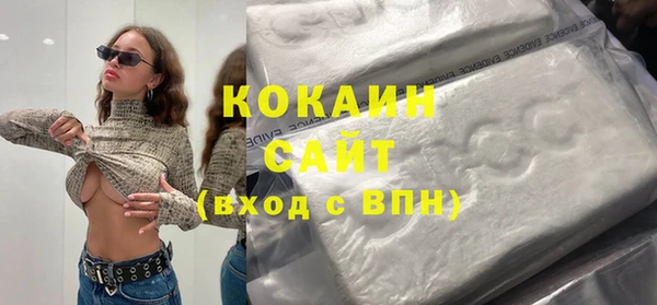 прущие грибы Абаза