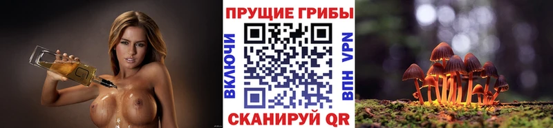 Псилоцибиновые грибы прущие грибы  купить  цена  Серпухов 