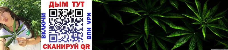 Каннабис OG Kush  Серпухов 